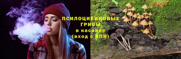 СК Кукмор
