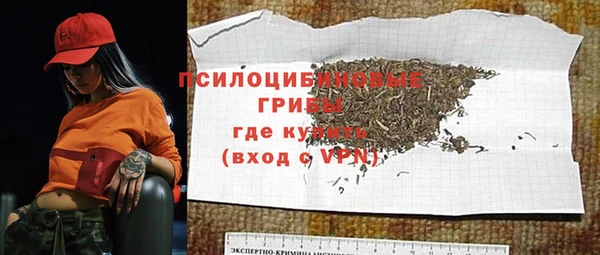 PSILOCYBIN Семёнов