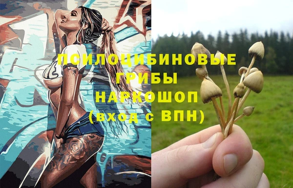 СК Кукмор